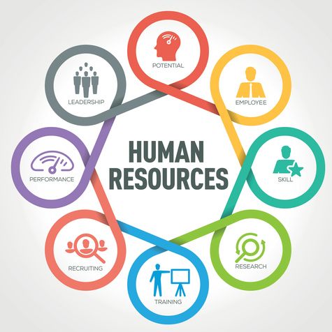 HUMAN RESOURCES MASHARIQ TRANSLATION DUBAI UAE 2
